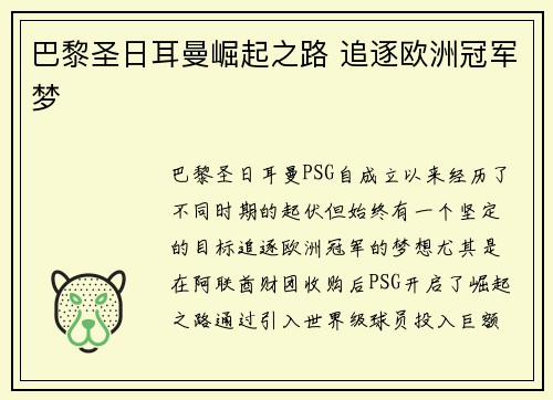 巴黎圣日耳曼崛起之路 追逐欧洲冠军梦